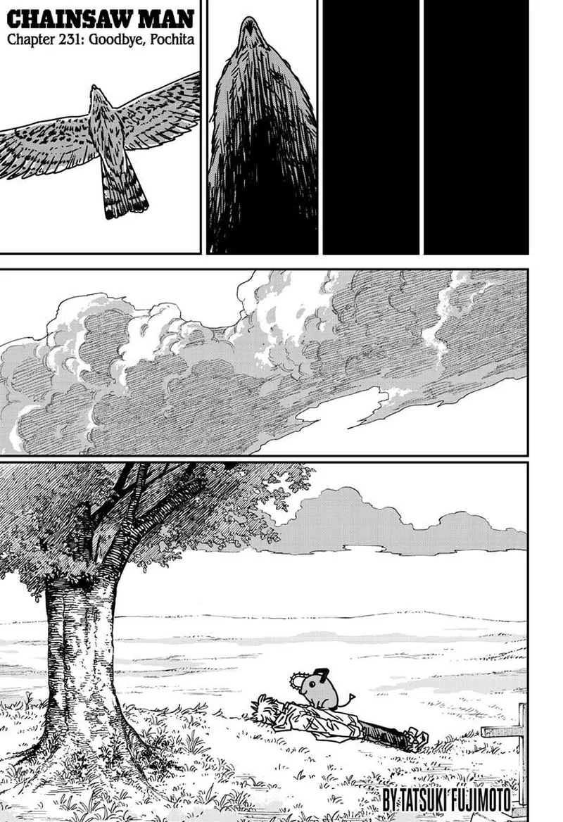 Chainsaw Man Manga Chapter 231 page 1 - Goodbye, Pochita